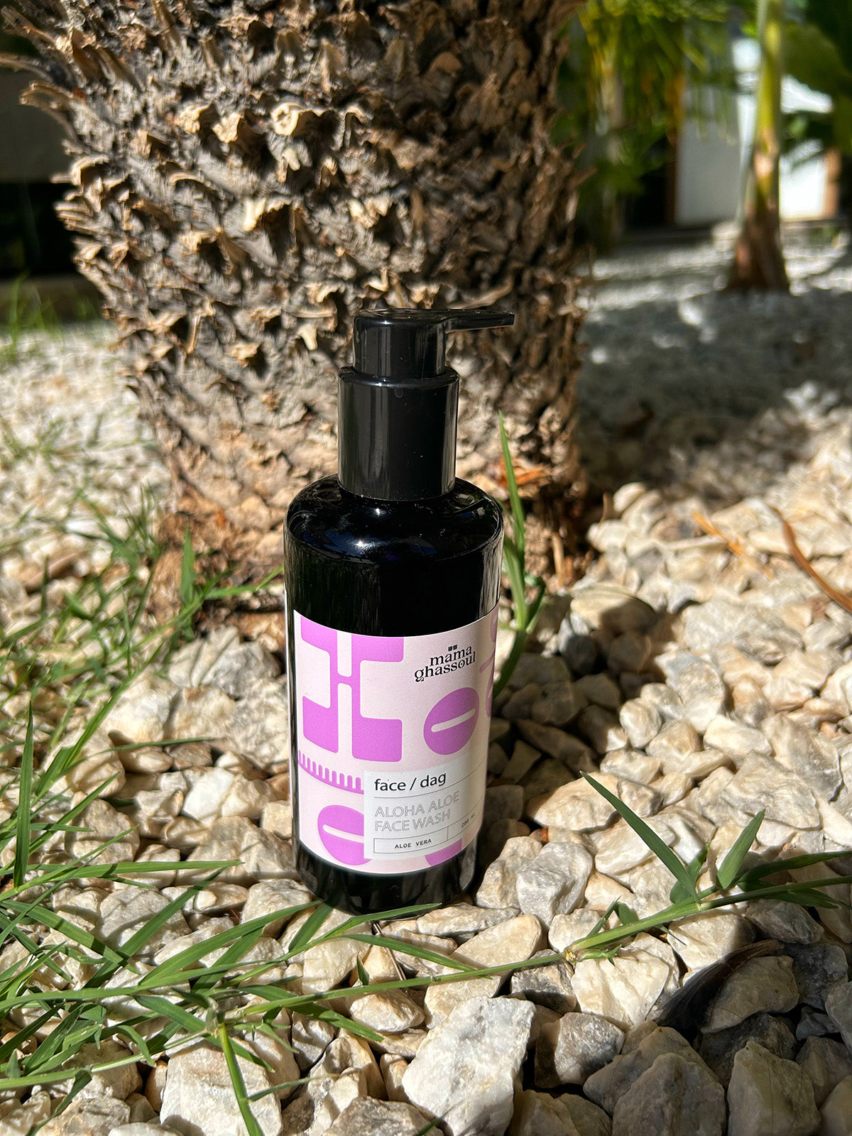 Aloha Aloe Face Wash